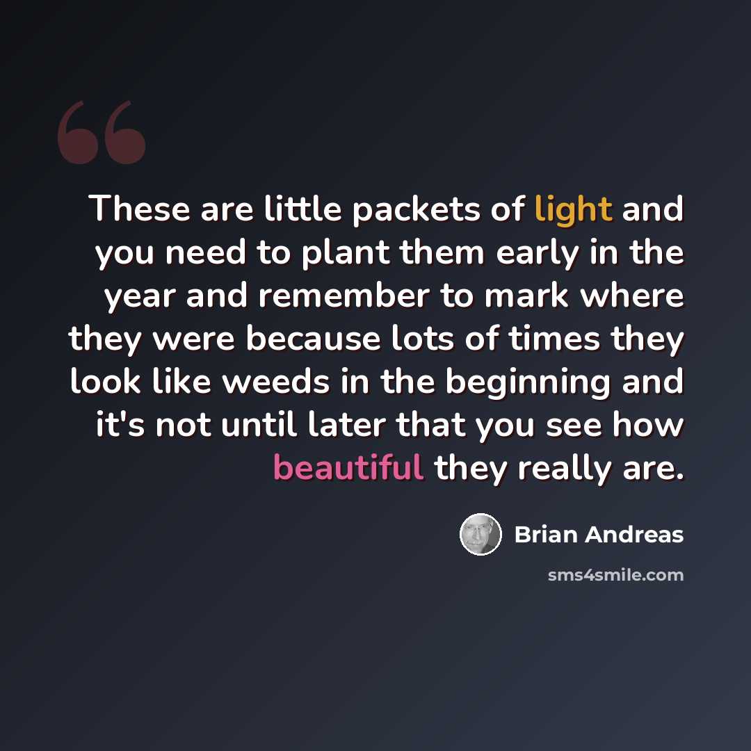 “These are little packets of light and you need to plant them early in the year and remember to mark where they were because lots of times they look like weeds in the beginning and it's not until later that you see how beautiful they really are.” quote by Brian Andreas
