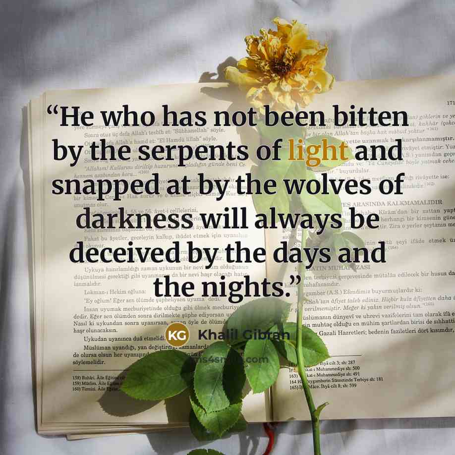 “He who has not been bitten by the serpents of light and snapped at by the wolves of darkness will always be deceived by the days and the nights.” quote by Khalil Gibran