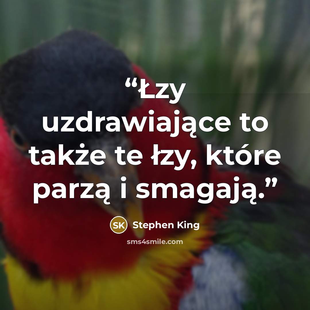“Łzy uzdrawiające to także te łzy, które parzą i smagają.” quote by Stephen King