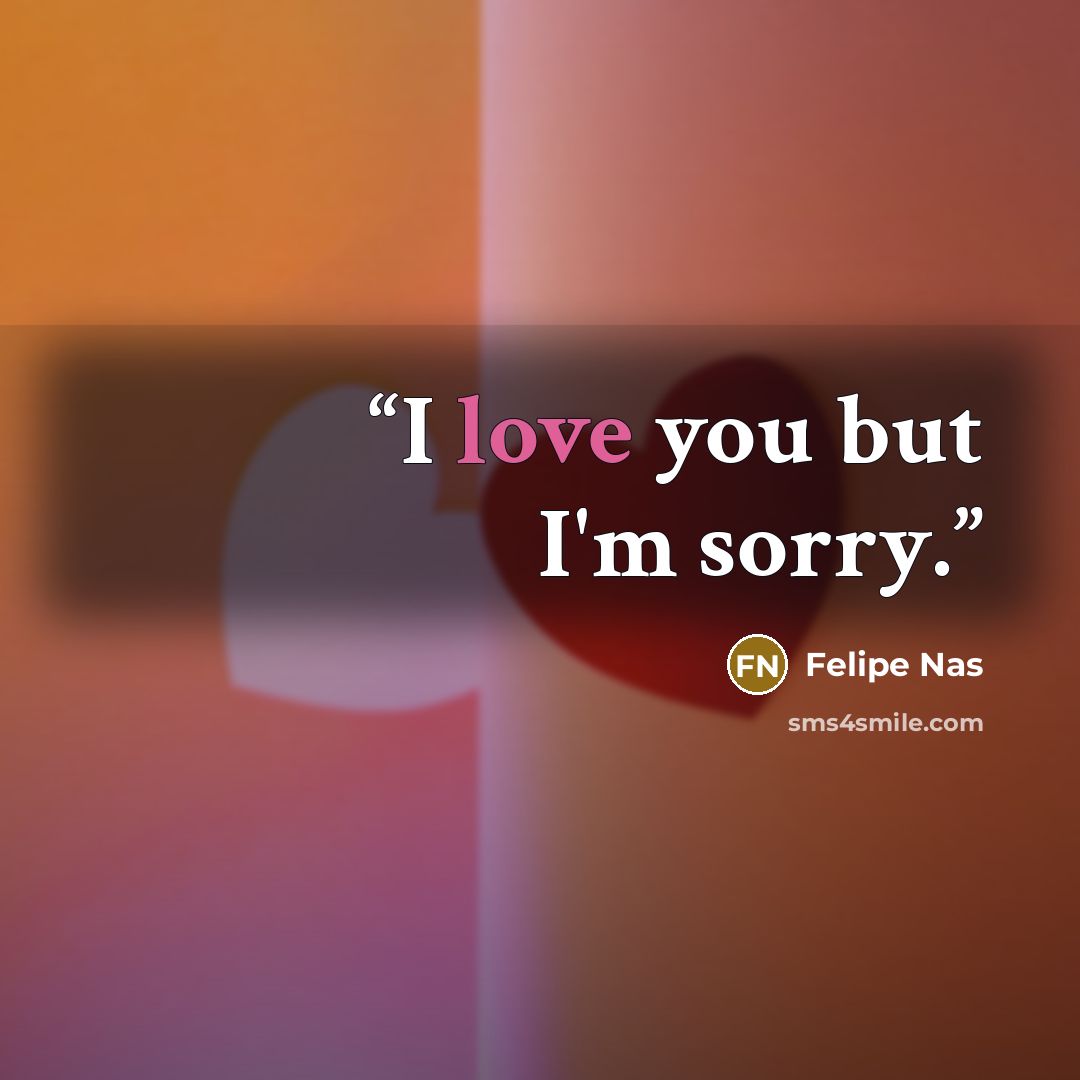 “I love you but I'm sorry.” quote by Felipe Nas