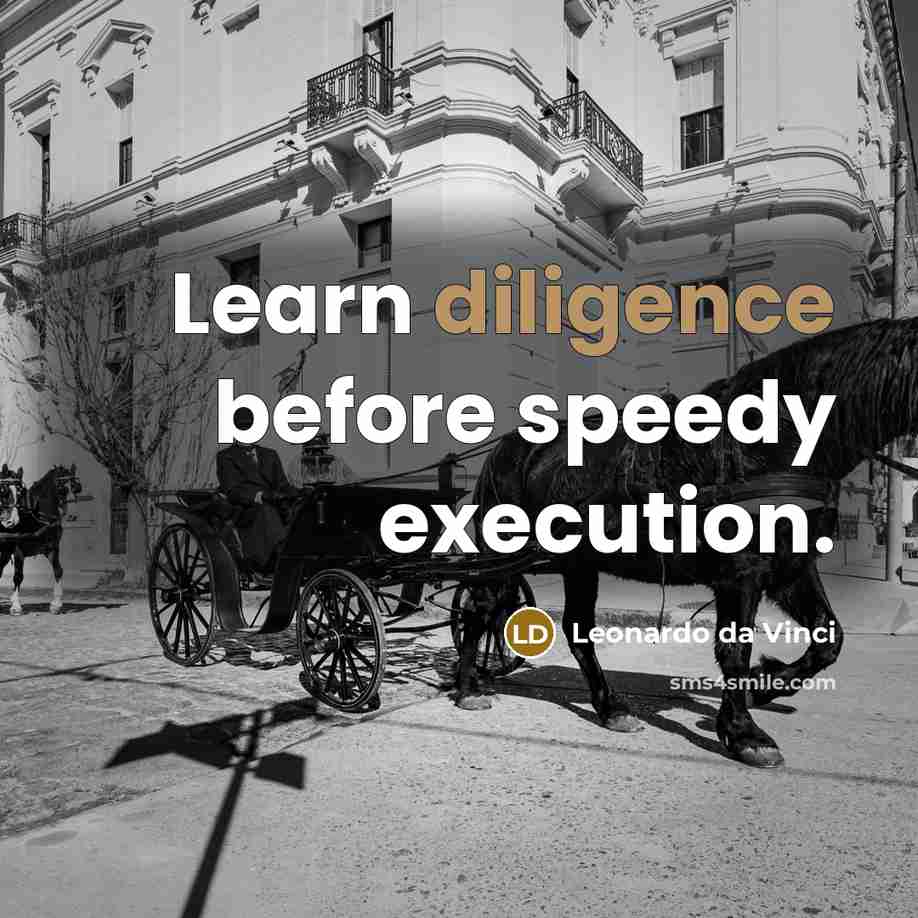 “Learn diligence before speedy execution.” quote by Leonardo da Vinci