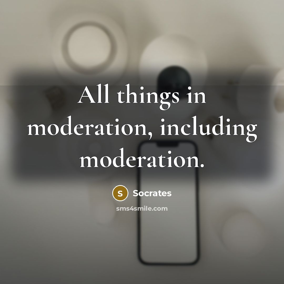 “All things in moderation, including moderation.” quote by Socrates