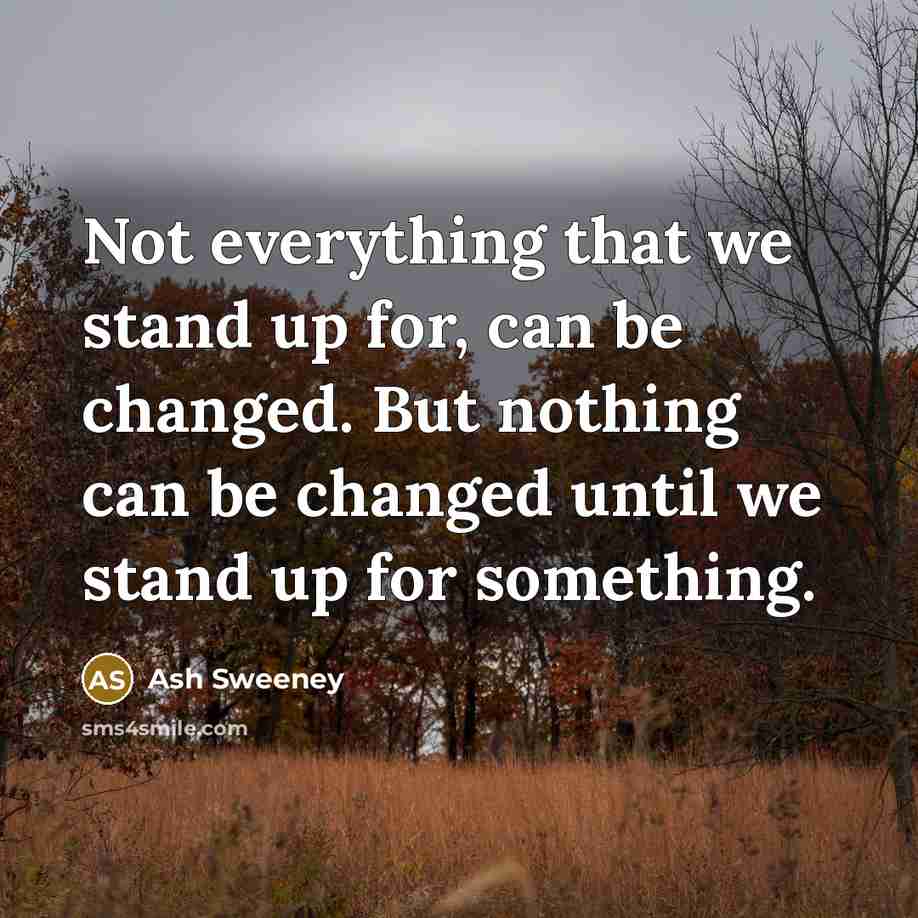 “Not everything that we stand up for, can be changed. But nothing can be changed until we stand up for something.” quote by Ash Sweeney