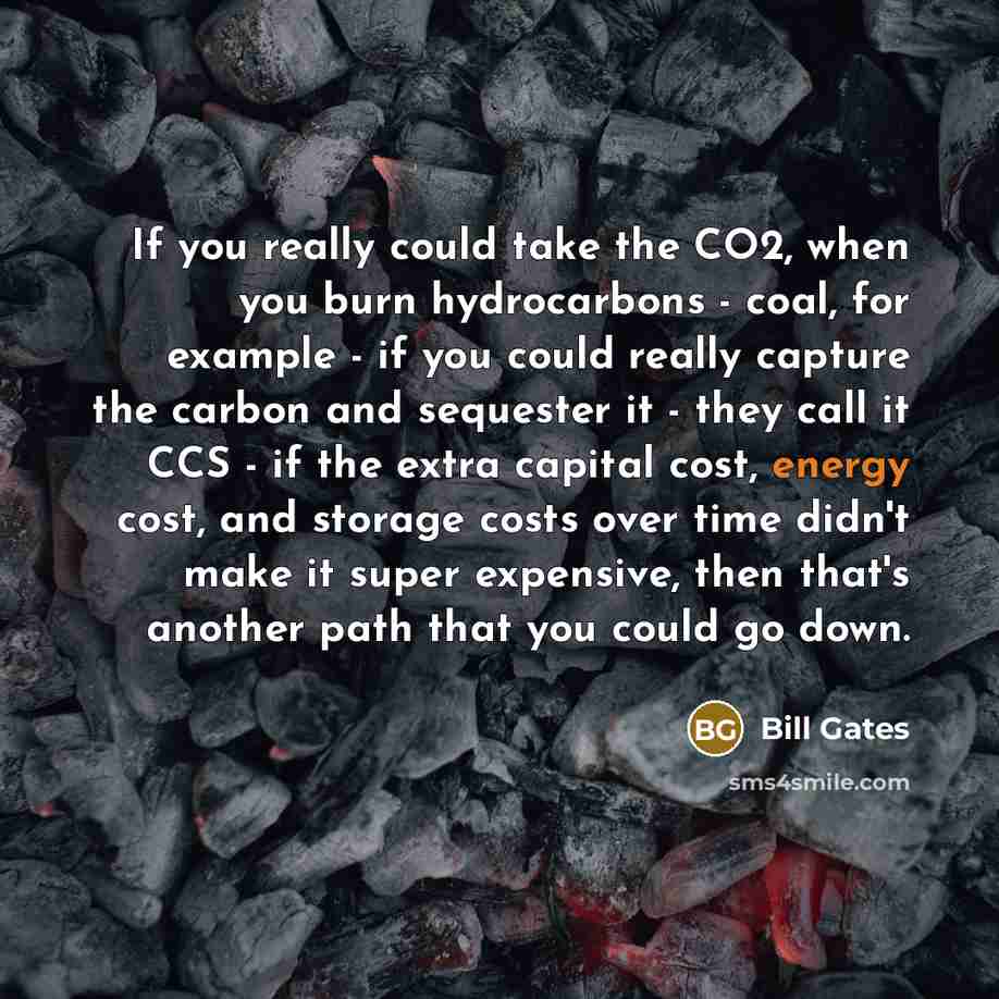 “If you really could take the CO2, when you burn hydrocarbons - coal, for example - if you could really capture the carbon and sequester it - they call it CCS - if the extra capital cost, energy cost, and storage costs over time didn't make it super expensive, then that's another path that you…” quote by Bill Gates