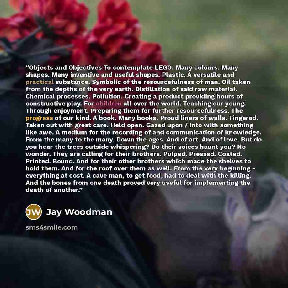 “Objects and Objectives To contemplate LEGO. Many colours. Many shapes. Many inventive and useful shapes. Plastic. A versatile and practical substance. Symbolic of the resourcefulness of man. Oil taken from the depths of the very earth. Distillation of said raw material. Chemical processes…” quote by Jay Woodman