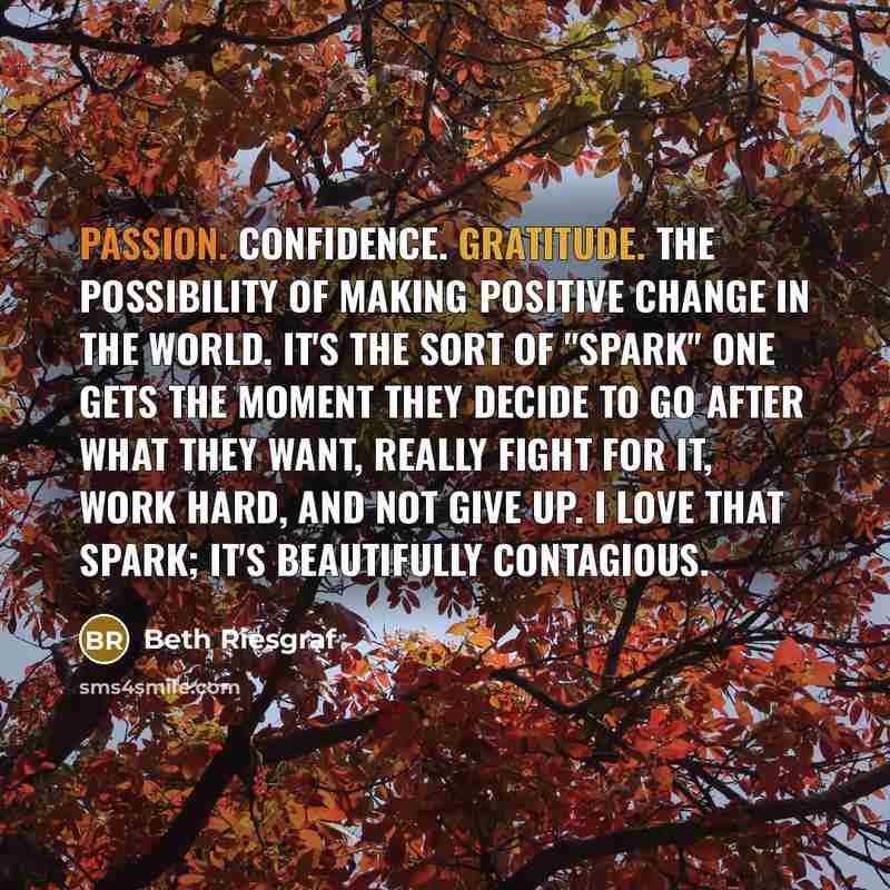 “Passion. Confidence. Gratitude. The possibility of making positive change in the world. It's the sort of "spark" one gets the moment they decide to go after what they want, really fight for it, work hard, and not give up. I love that spark; it's beautifully contagious.” quote by Beth Riesgraf