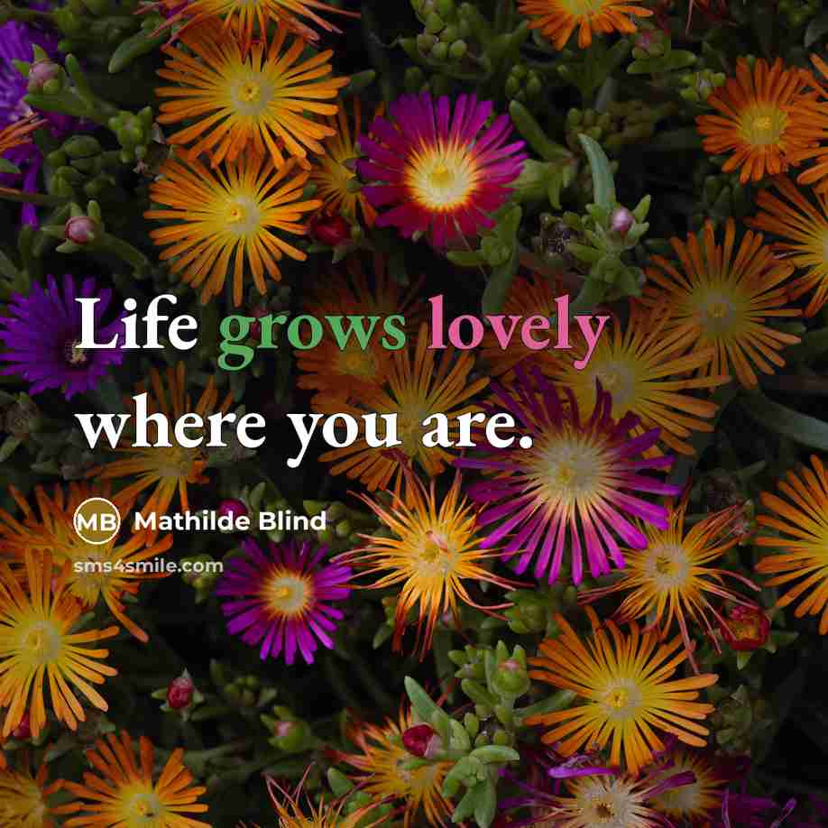 “Life grows lovely where you are.” quote by Mathilde Blind