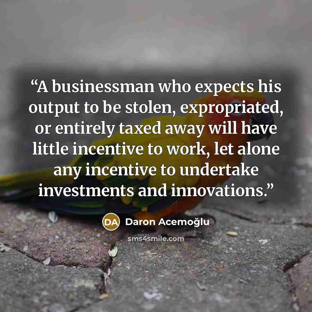 “A businessman who expects his output to be stolen, expropriated, or entirely taxed away will have little incentive to work, let alone any incentive to undertake investments and innovations.” quote by Daron Acemoğlu