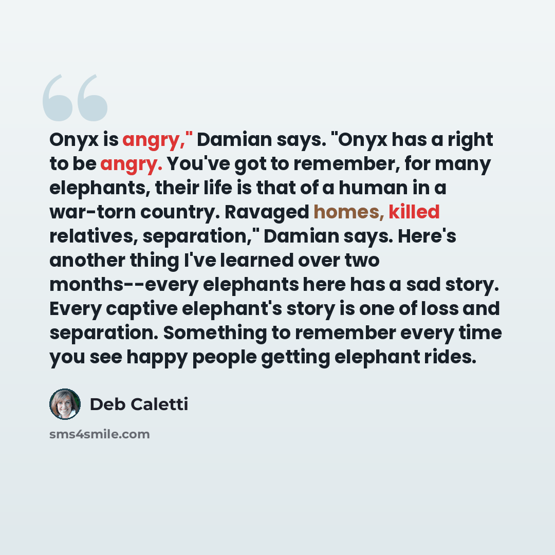 “Onyx is angry," Damian says. "Onyx has a right to be angry. You've got to remember, for many elephants, their life is that of a human in a war-torn country. Ravaged homes, killed relatives, separation," Damian says. Here's another thing I've learned over two months--every elephants here has a sad…” quote by Deb Caletti