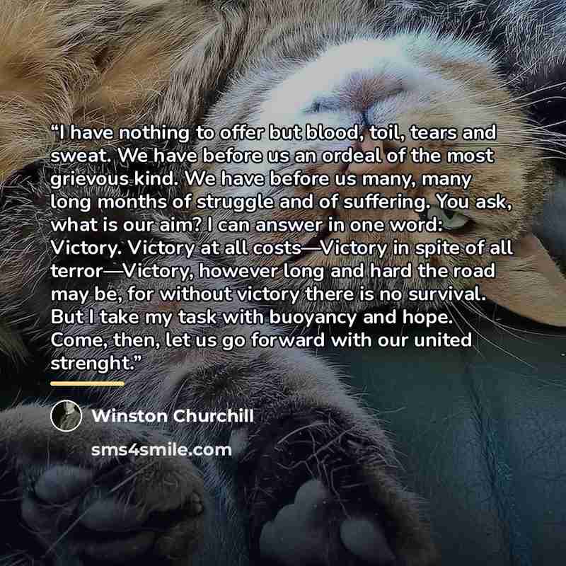 “I have nothing to offer but blood, toil, tears and sweat. We have before us an ordeal of the most grievous kind. We have before us many, many long months of struggle and of suffering. You ask, what is our aim? I can answer in one word: Victory. Victory at all costs—Victory in spite of all…” quote by Winston Churchill