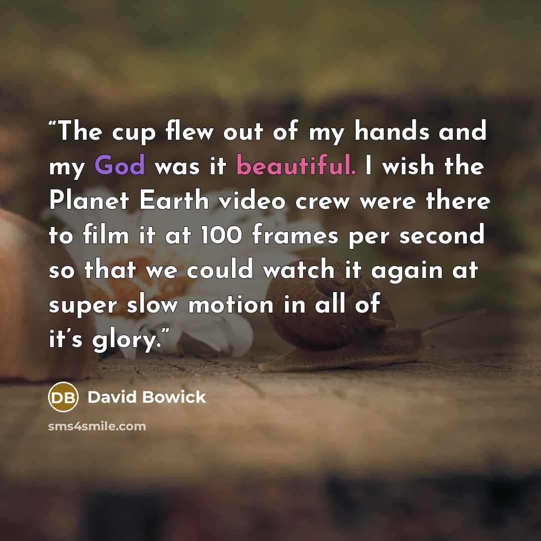 “The cup flew out of my hands and my God was it beautiful. I wish the Planet Earth video crew were there to film it at 100 frames per second so that we could watch it again at super slow motion in all of it’s glory.” quote by David Bowick