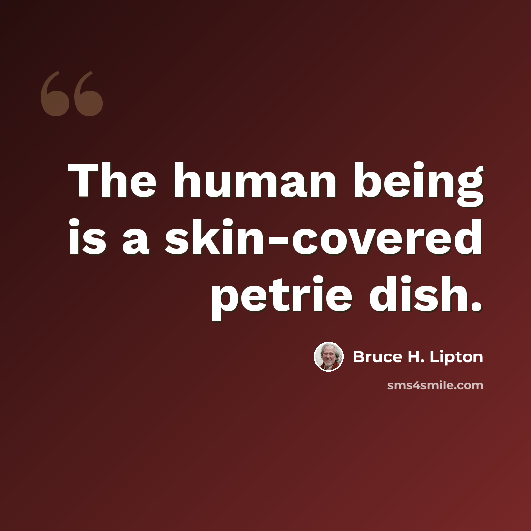“The human being is a skin-covered petrie dish.” quote by Bruce H. Lipton