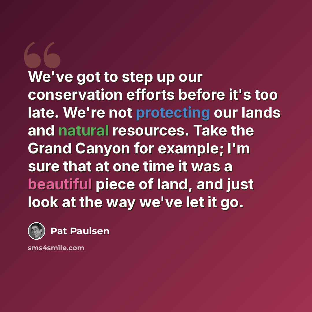 “We've got to step up our conservation efforts before it's too late. We're not protecting our lands and natural resources. Take the Grand Canyon for example; I'm sure that at one time it was a beautiful piece of land, and just look at the way we've let it go.” quote by Pat Paulsen