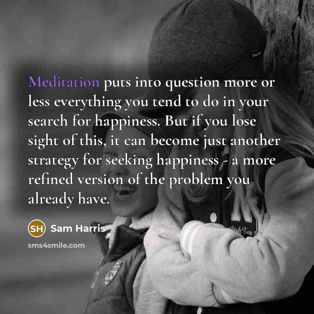 “Meditation puts into question more or less everything you tend to do in your search for happiness. But if you lose sight of this, it can become just another strategy for seeking happiness - a more refined version of the problem you already have.” quote by Sam Harris