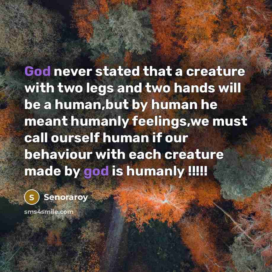 “God never stated that a creature with two legs and two hands will be a human,but by human he meant humanly feelings,we must call ourself human if our behaviour with each creature made by god is humanly !!!!!” quote by Senoraroy