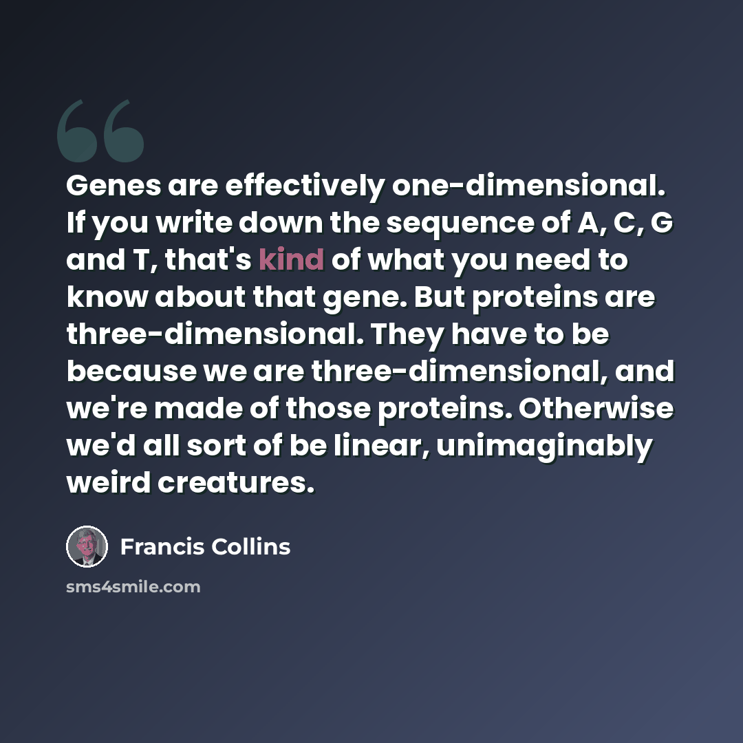 “Genes are effectively one-dimensional. If you write down the sequence of A, C, G and T, that's kind of what you need to know about that gene. But proteins are three-dimensional. They have to be because we are three-dimensional, and we're made of those proteins. Otherwise we'd all sort of be…” quote by Francis Collins
