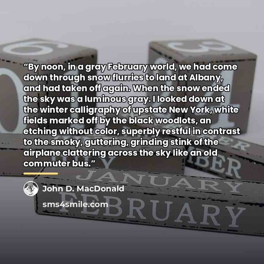“By noon, in a gray February world, we had come down through snow flurries to land at Albany, and had taken off again. When the snow ended the sky was a luminous gray. I looked down at the winter calligraphy of upstate New York, white fields marked off by the black woodlots, an etching without…” quote by John D. MacDonald