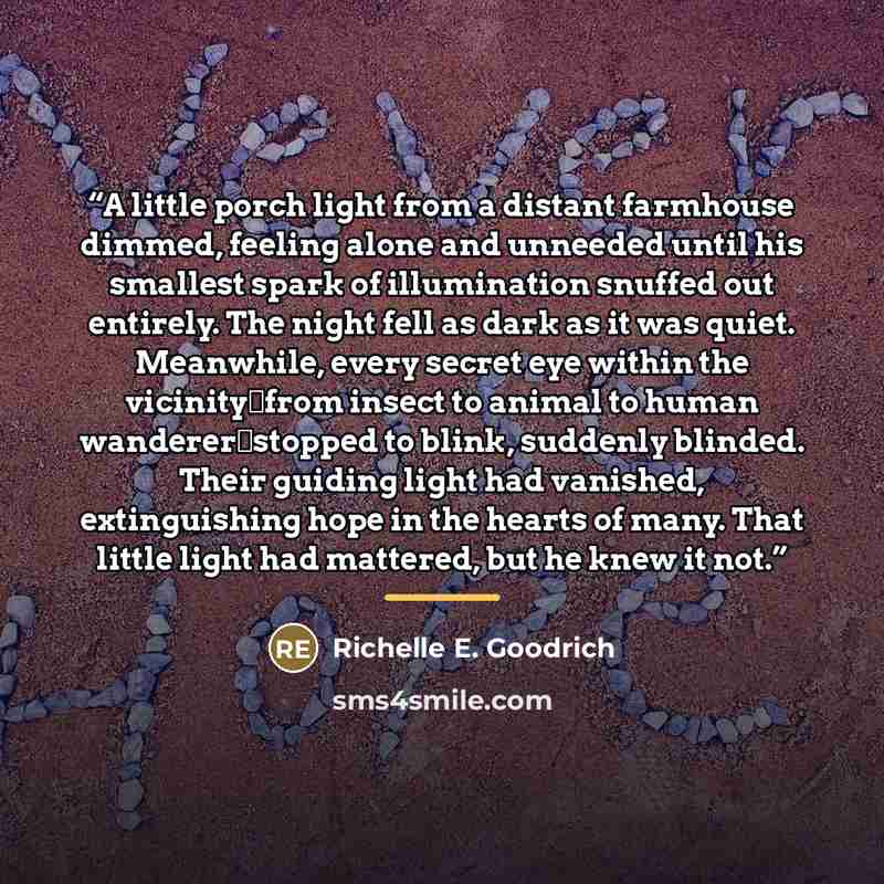 “A little porch light from a distant farmhouse dimmed, feeling alone and unneeded until his smallest spark of illumination snuffed out entirely. The night fell as dark as it was quiet. Meanwhile, every secret eye within the vicinity―from insect to animal to human wanderer―stopped to blink, suddenly…” quote by Richelle E. Goodrich