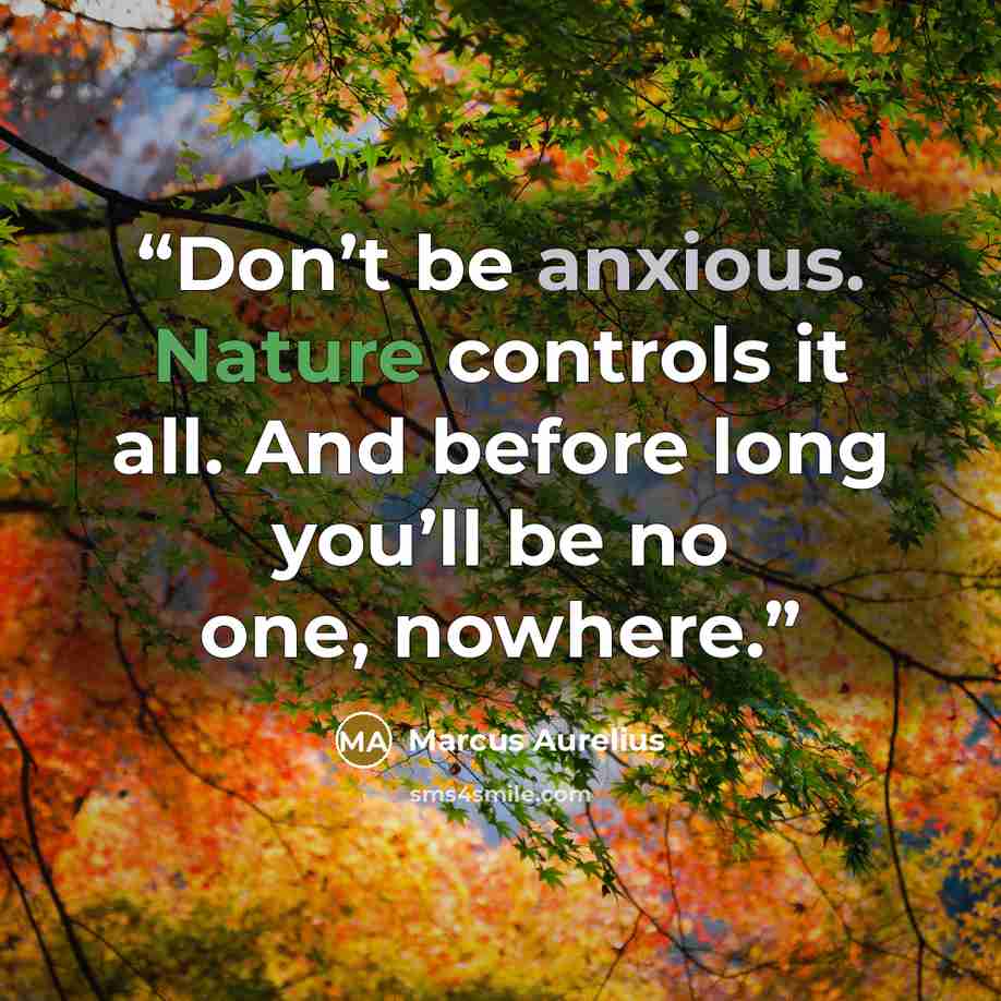 “Don’t be anxious. Nature controls it all. And before long you’ll be no one, nowhere.” quote by Marcus Aurelius
