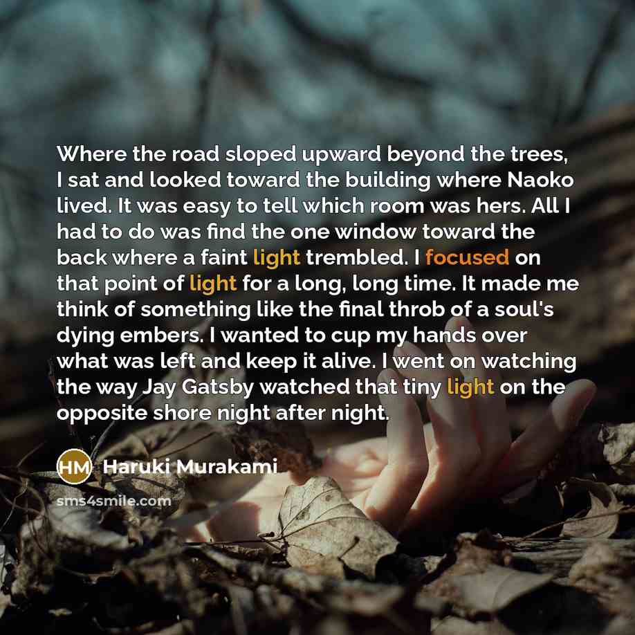 “Where the road sloped upward beyond the trees, I sat and looked toward the building where Naoko lived. It was easy to tell which room was hers. All I had to do was find the one window toward the back where a faint light trembled. I focused on that point of light for a long, long time. It made me…” quote by Haruki Murakami