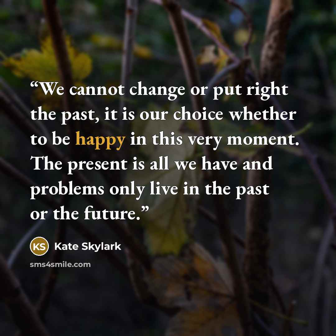 “We cannot change or put right the past, it is our choice whether to be happy in this very moment. The present is all we have and problems only live in the past or the future.” quote by Kate Skylark