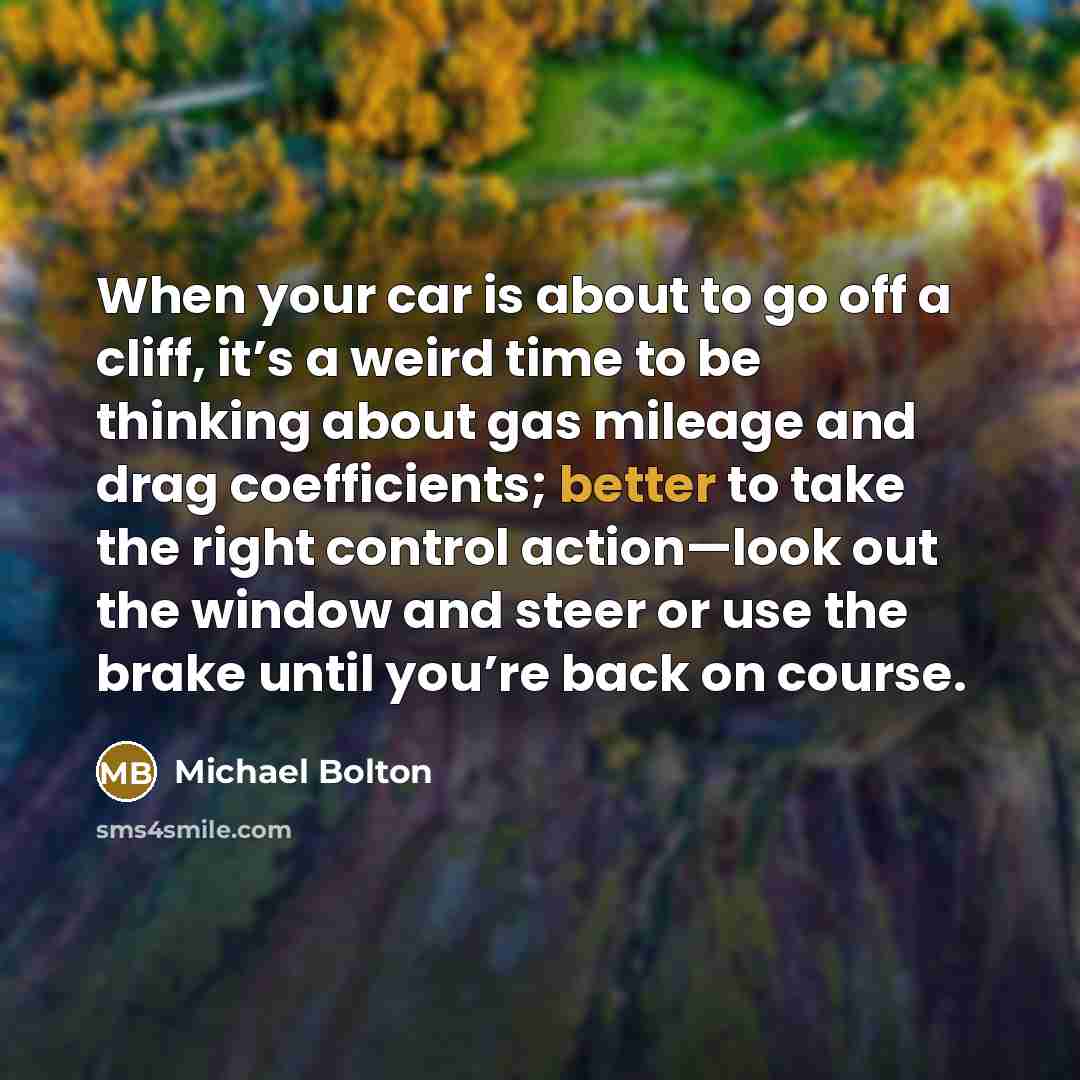 “When your car is about to go off a cliff, it’s a weird time to be thinking about gas mileage and drag coefficients; better to take the right control action—look out the window and steer or use the brake until you’re back on course.” quote by Michael Bolton