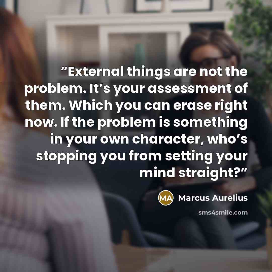 “External things are not the problem. It’s your assessment of them. Which you can erase right now. If the problem is something in your own character, who’s stopping you from setting your mind straight?” quote by Marcus Aurelius