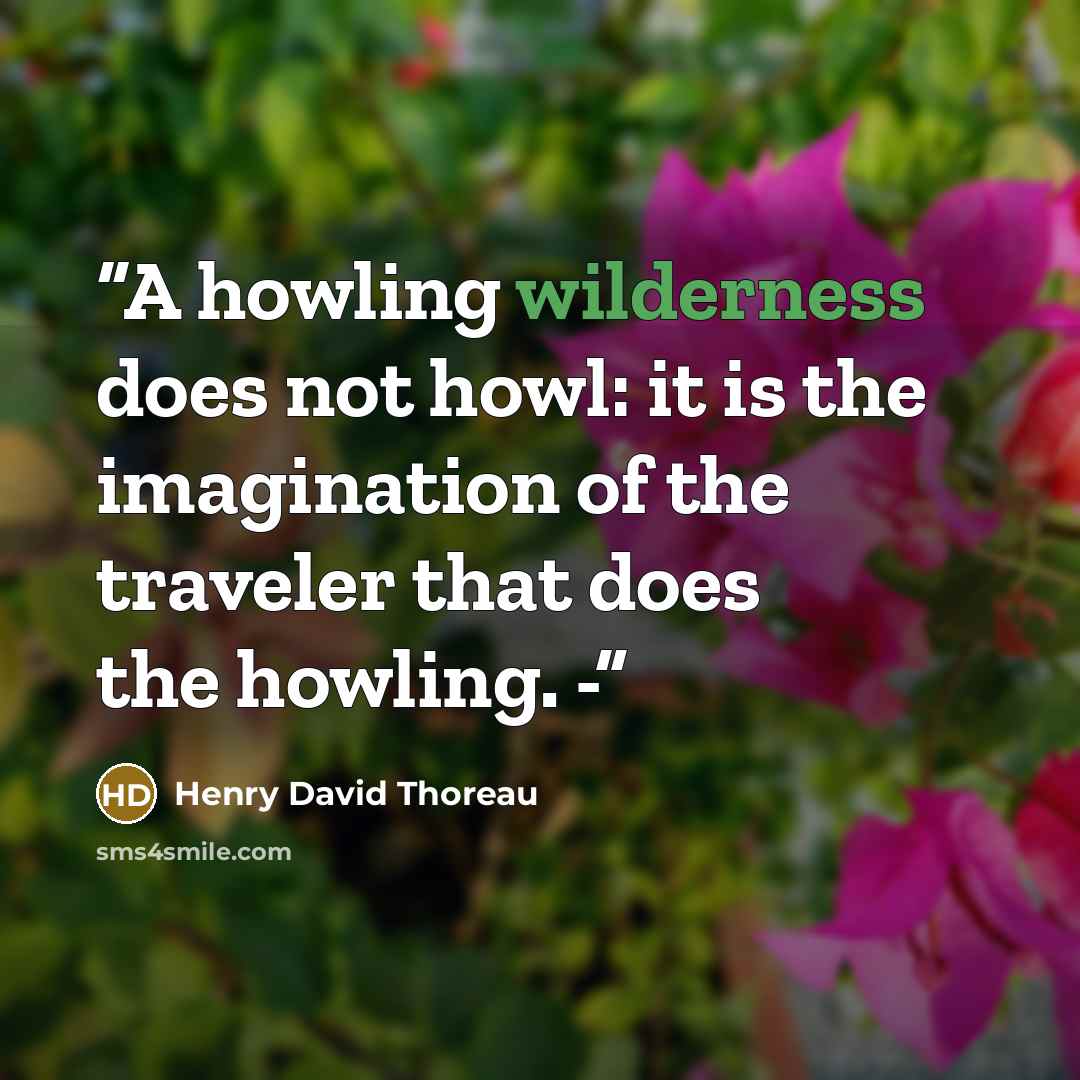 “A howling wilderness does not howl: it is the imagination of the traveler that does the howling. -” quote by Henry David Thoreau