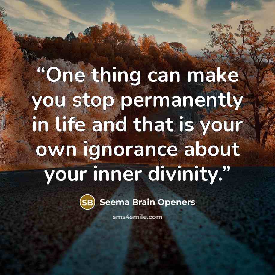 “One thing can make you stop permanently in life and that is your own ignorance about your inner divinity.” quote by Seema Brain Openers