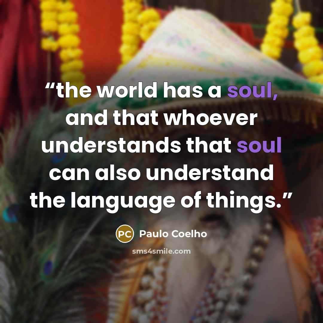 “the world has a soul, and that whoever understands that soul can also understand the language of things.” quote by Paulo Coelho