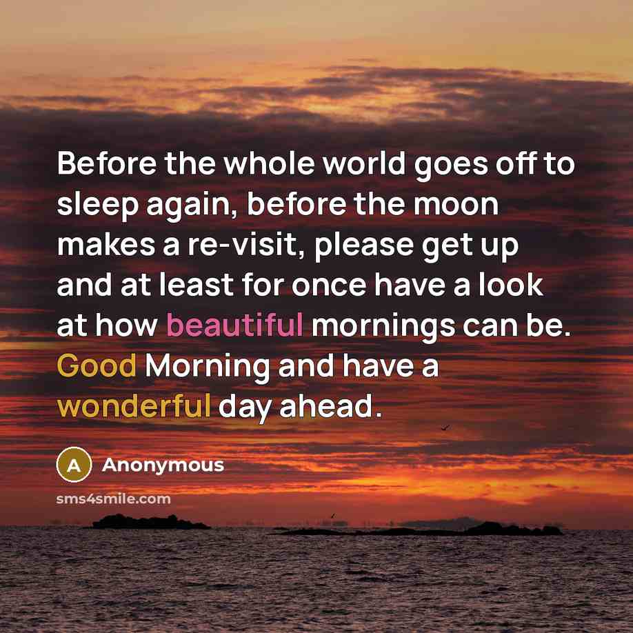 “Before the whole world goes off to sleep again, before the moon makes a re-visit, please get up and at least for once have a look at how beautiful mornings can be. Good Morning and have a wonderful day ahead.” quote by Anonymous