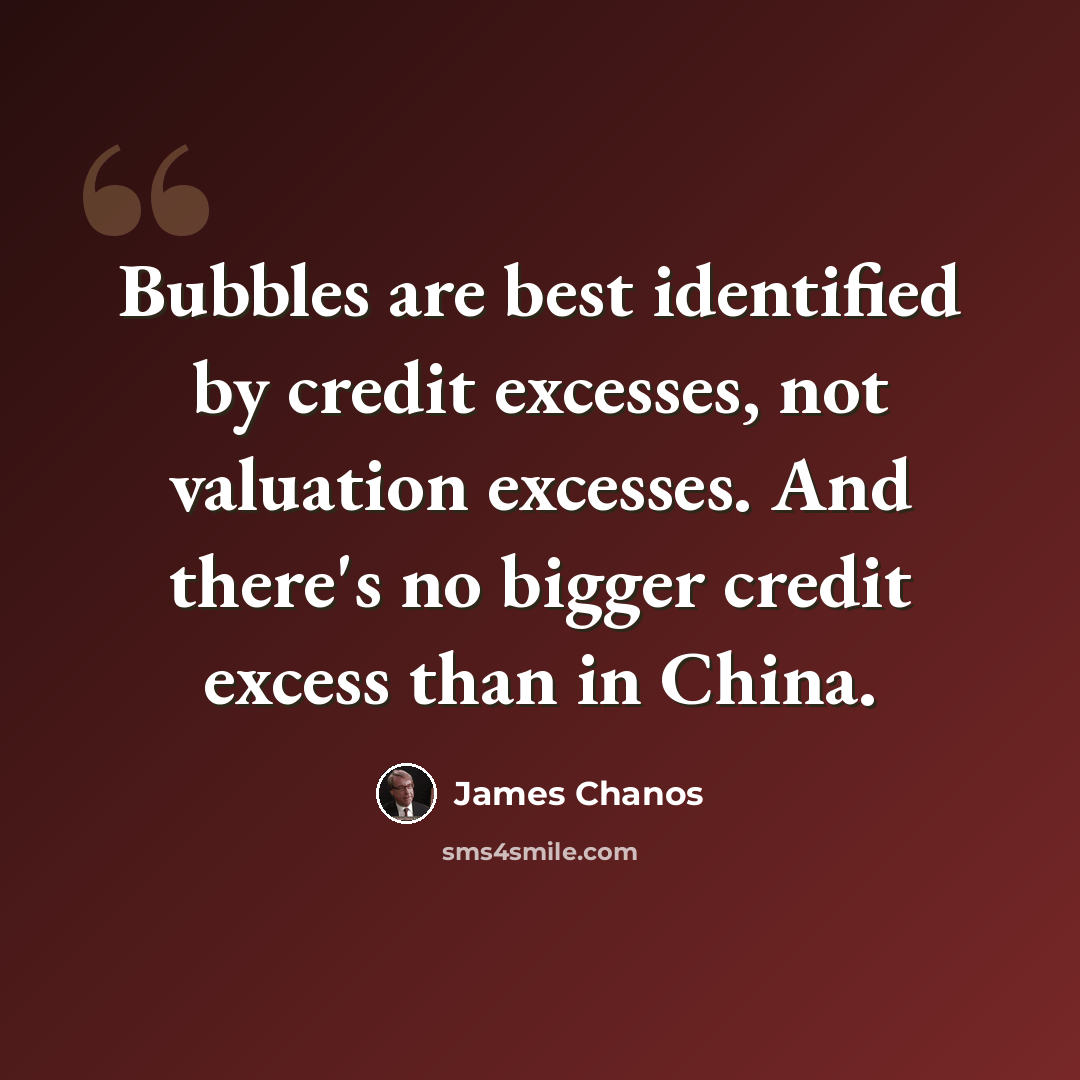 “Bubbles are best identified by credit excesses, not valuation excesses. And there's no bigger credit excess than in China.” quote by James Chanos