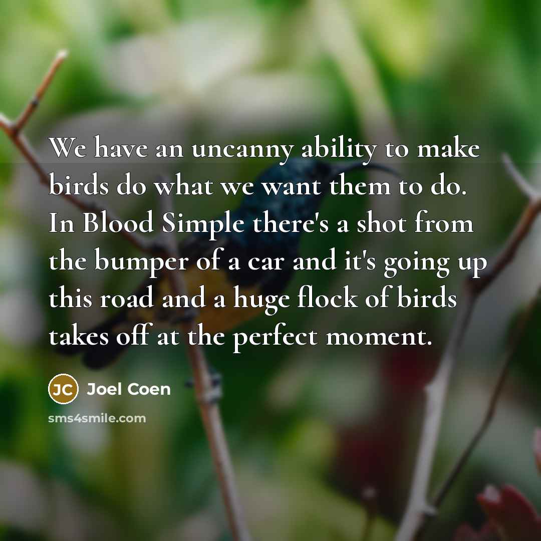 “We have an uncanny ability to make birds do what we want them to do. In Blood Simple there's a shot from the bumper of a car and it's going up this road and a huge flock of birds takes off at the perfect moment.” quote by Joel Coen