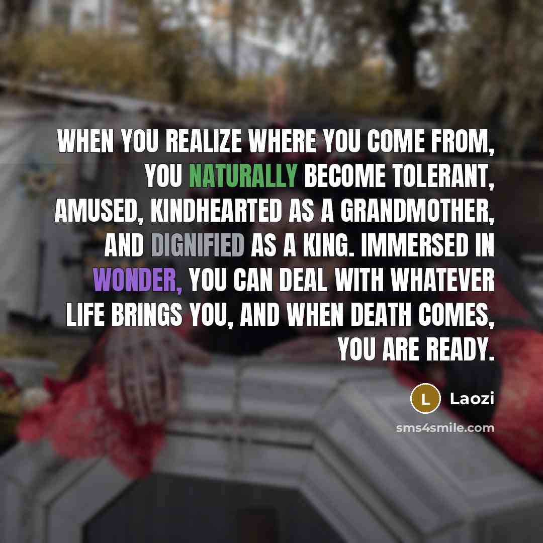 “When you realize where you come from, you naturally become tolerant, amused, kindhearted as a grandmother, and dignified as a king. Immersed in wonder, you can deal with whatever life brings you, and when death comes, you are ready.” quote by Laozi