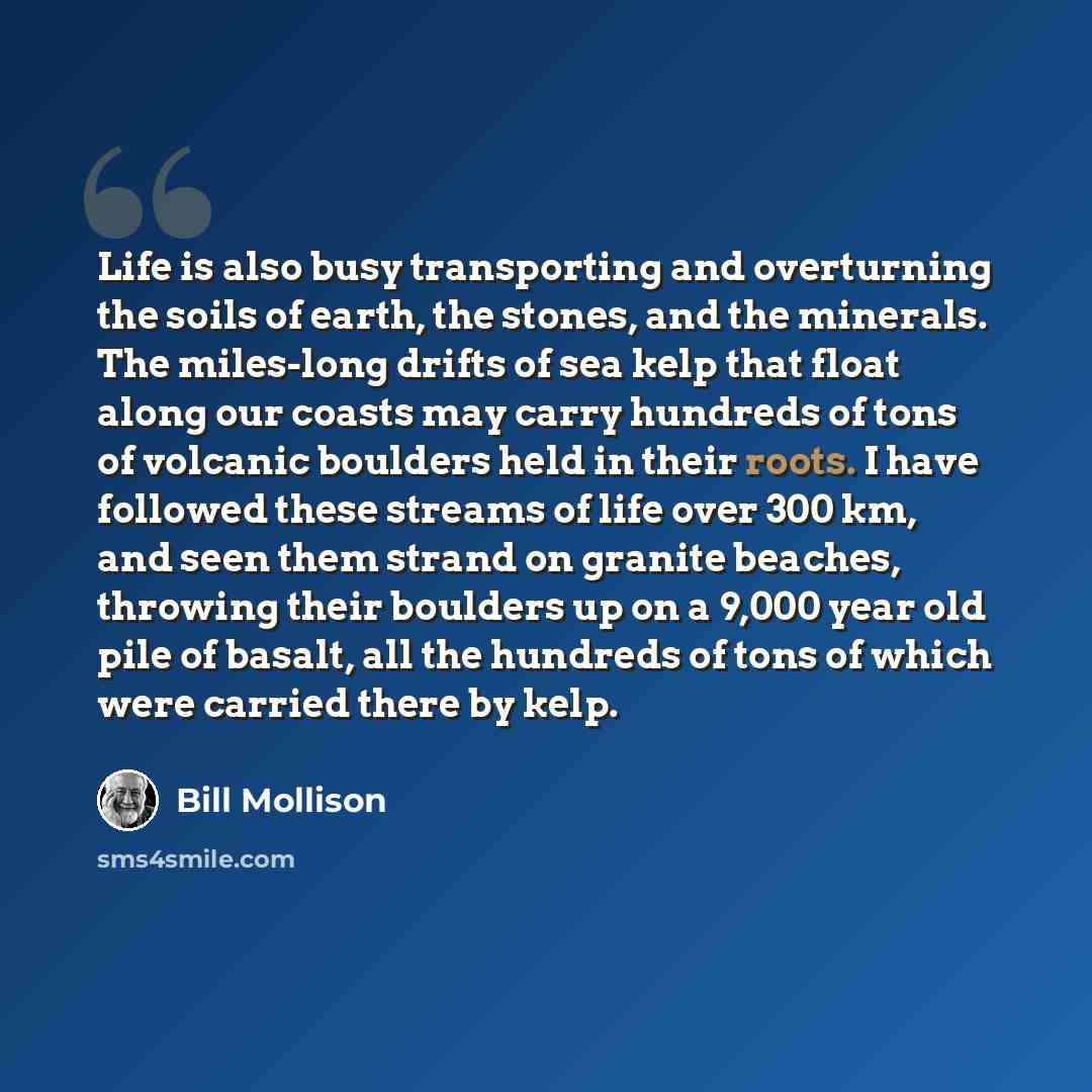 “Life is also busy transporting and overturning the soils of earth, the stones, and the minerals. The miles-long drifts of sea kelp that float along our coasts may carry hundreds of tons of volcanic boulders held in their roots. I have followed these streams of life over 300 km, and seen them…” quote by Bill Mollison