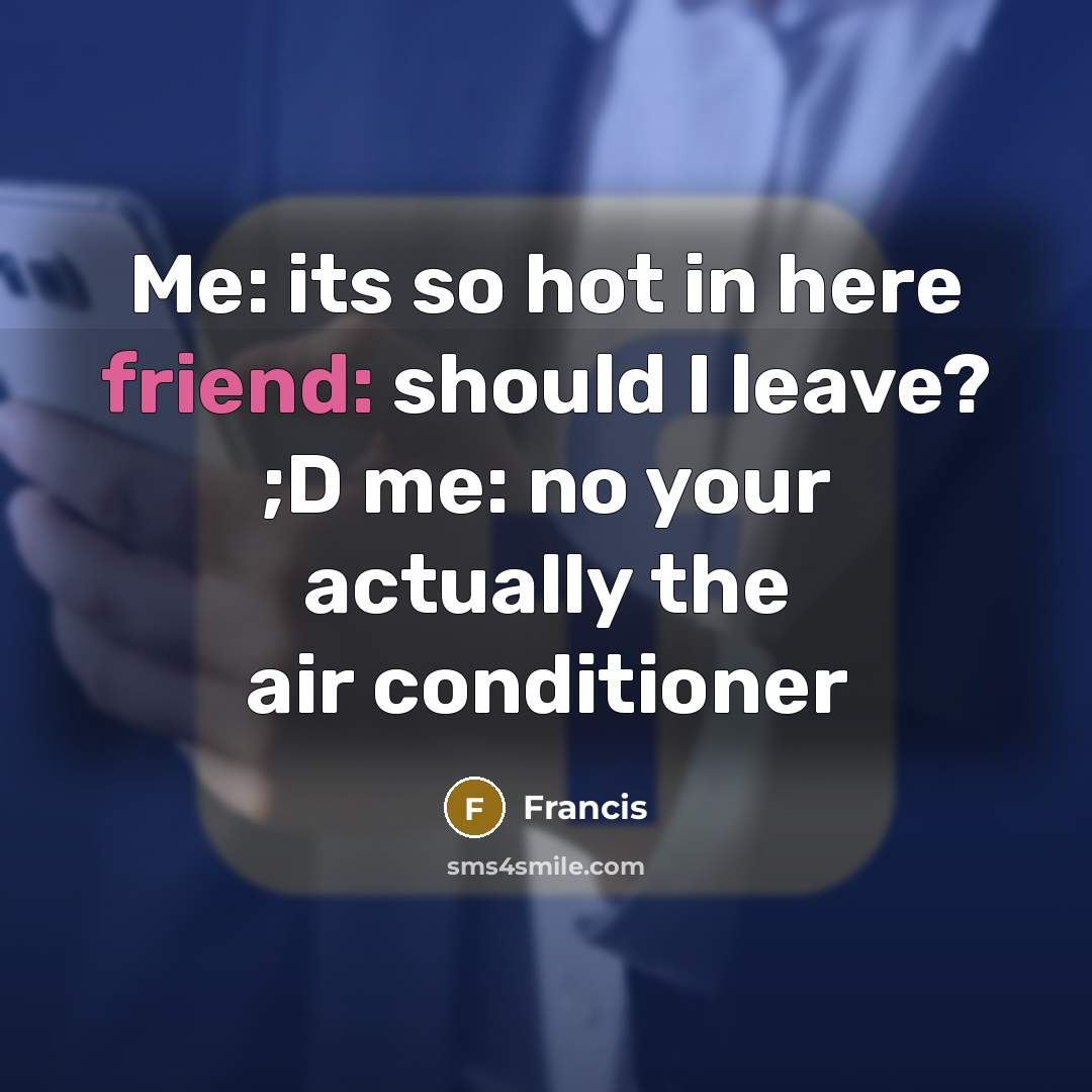 “Me: its so hot in here friend: should I leave? ;D me: no your actually the air conditioner” quote by Francis