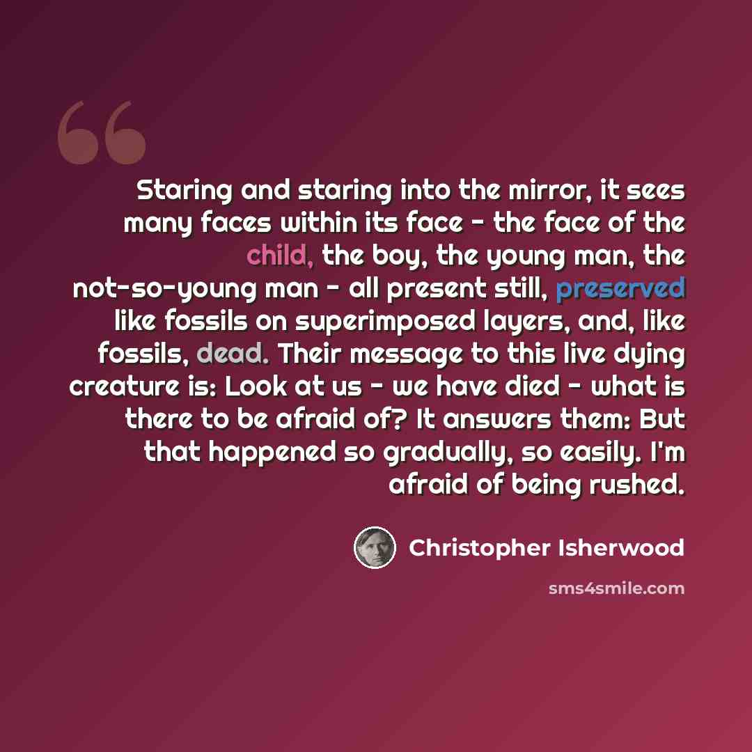 “Staring and staring into the mirror, it sees many faces within its face - the face of the child, the boy, the young man, the not-so-young man - all present still, preserved like fossils on superimposed layers, and, like fossils, dead. Their message to this live dying creature is: Look at us - we…” quote by Christopher Isherwood