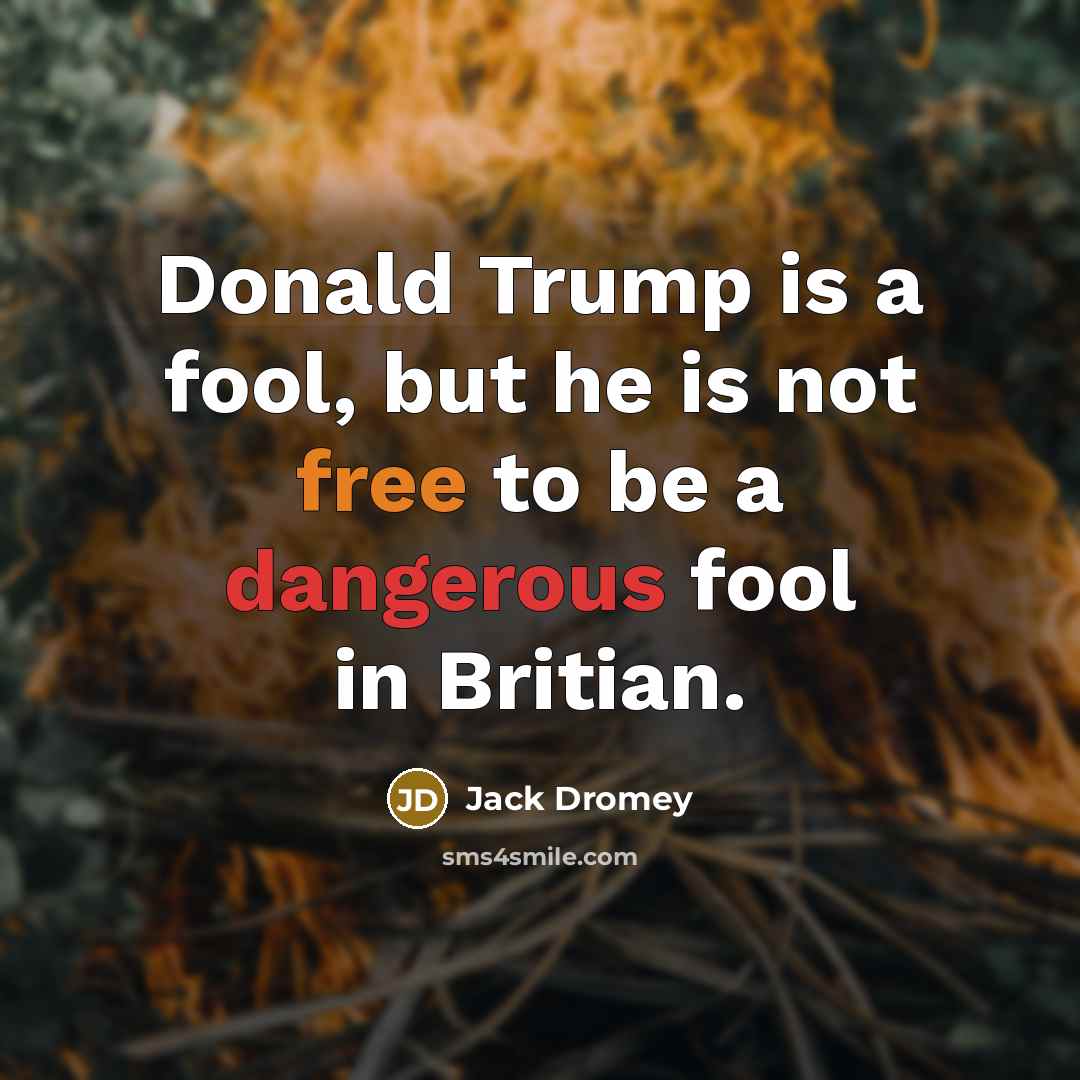 “Donald Trump is a fool, but he is not free to be a dangerous fool in Britian.” quote by Jack Dromey