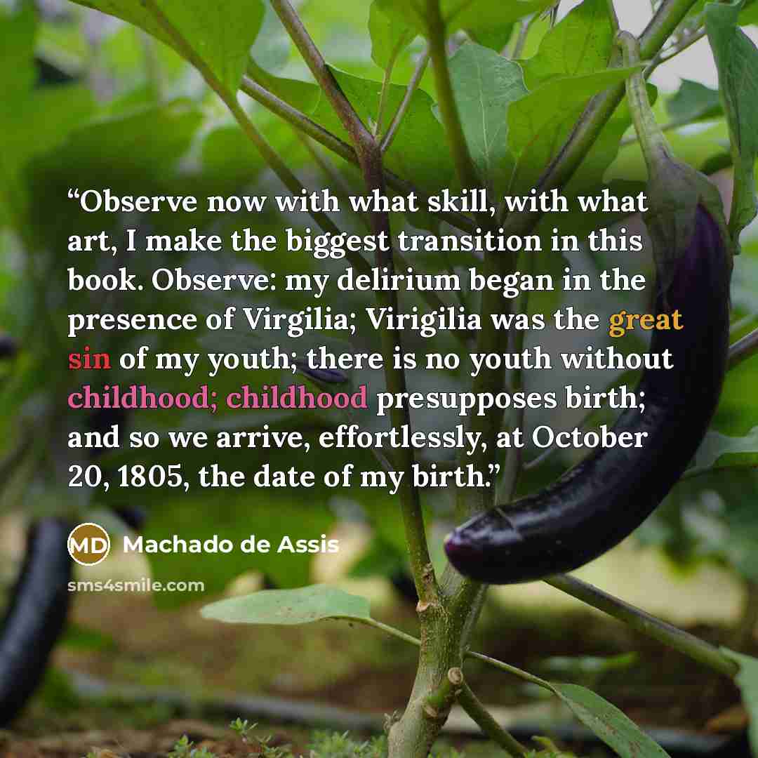 “Observe now with what skill, with what art, I make the biggest transition in this book. Observe: my delirium began in the presence of Virgilia; Virigilia was the great sin of my youth; there is no youth without childhood; childhood presupposes birth; and so we arrive, effortlessly, at October 20…” quote by Machado de Assis