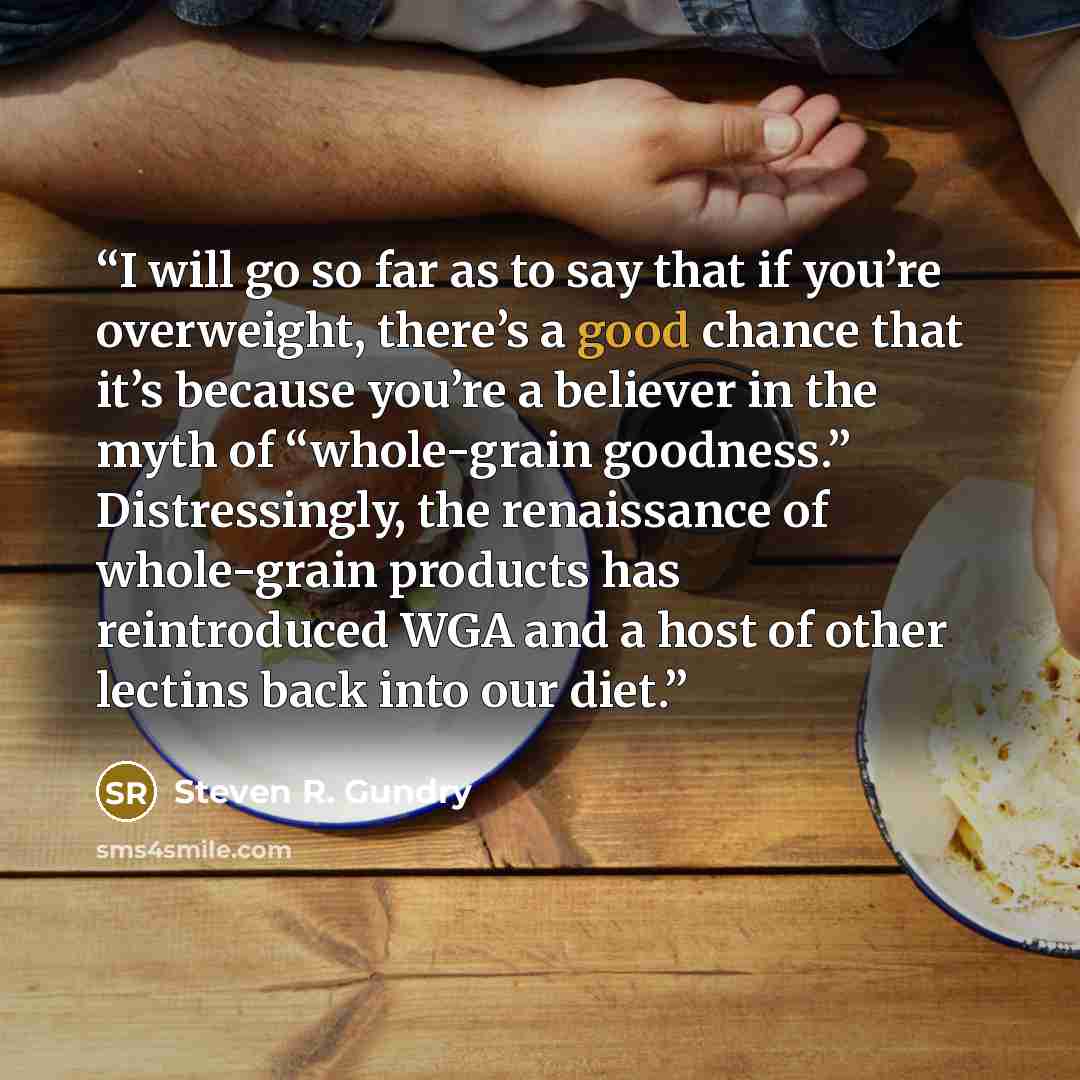 “I will go so far as to say that if you’re overweight, there’s a good chance that it’s because you’re a believer in the myth of “whole-grain goodness.” Distressingly, the renaissance of whole-grain products has reintroduced WGA and a host of other lectins back into our diet.” quote by Steven R. Gundry