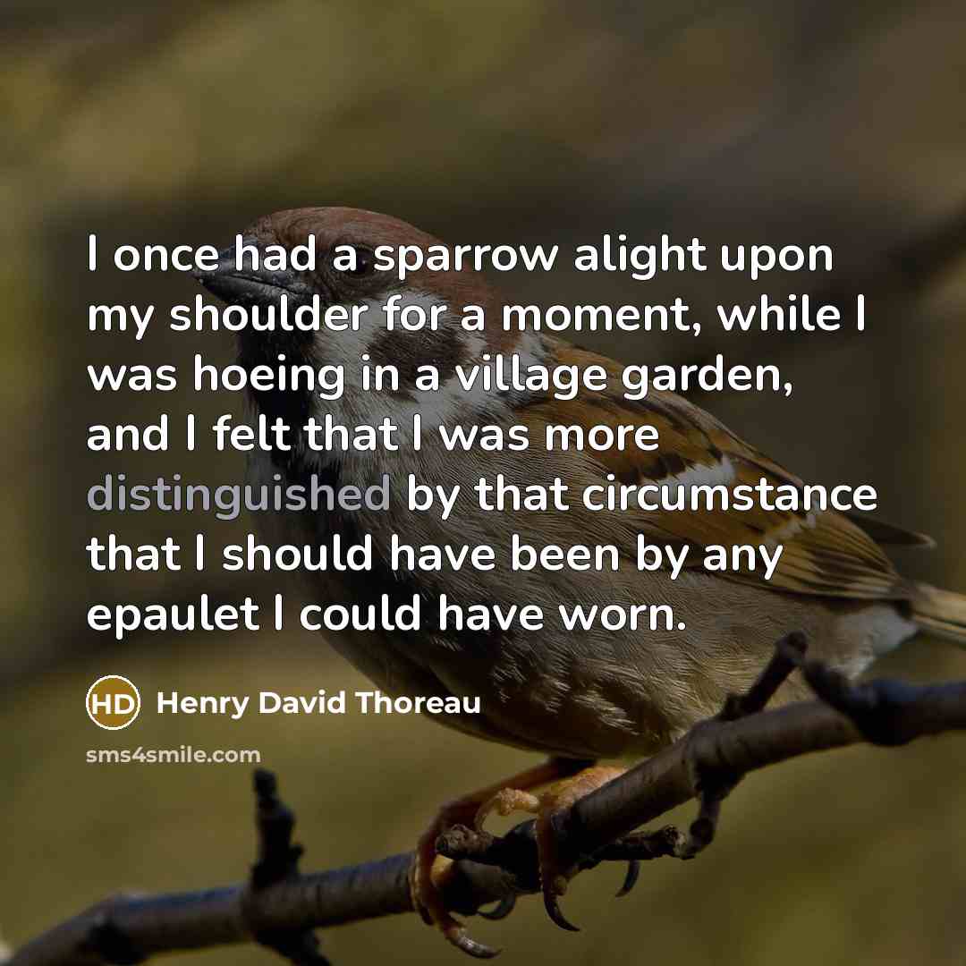 “I once had a sparrow alight upon my shoulder for a moment, while I was hoeing in a village garden, and I felt that I was more distinguished by that circumstance that I should have been by any epaulet I could have worn.” quote by Henry David Thoreau