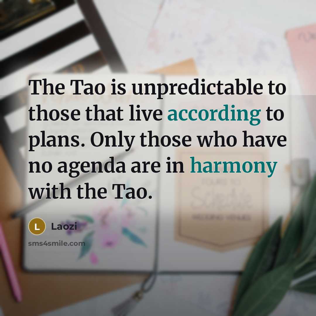 “The Tao is unpredictable to those that live according to plans. Only those who have no agenda are in harmony with the Tao.” quote by Laozi