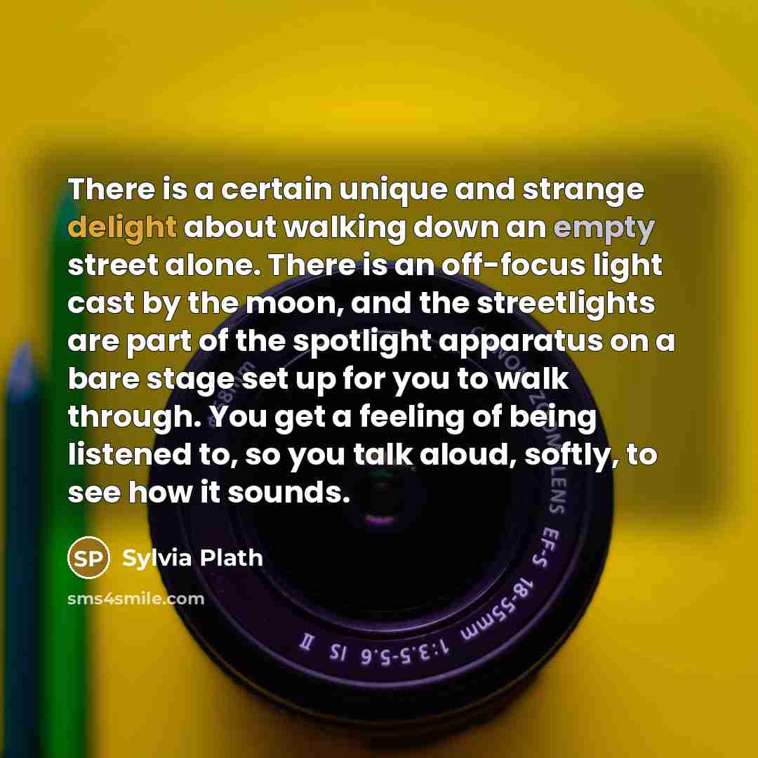 “There is a certain unique and strange delight about walking down an empty street alone. There is an off-focus light cast by the moon, and the streetlights are part of the spotlight apparatus on a bare stage set up for you to walk through. You get a feeling of being listened to, so you talk aloud…” quote by Sylvia Plath