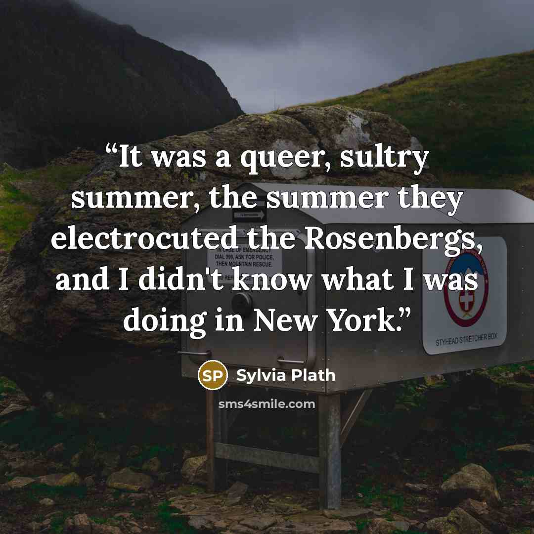 “It was a queer, sultry summer, the summer they electrocuted the Rosenbergs, and I didn't know what I was doing in New York.” quote by Sylvia Plath