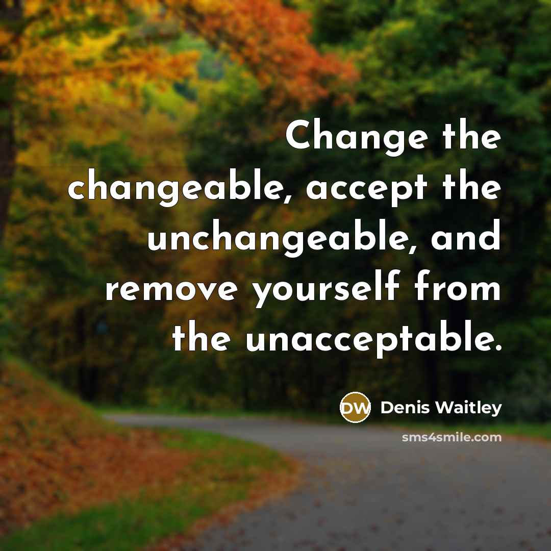 “Change the changeable, accept the unchangeable, and remove yourself from the unacceptable.” quote by Denis Waitley