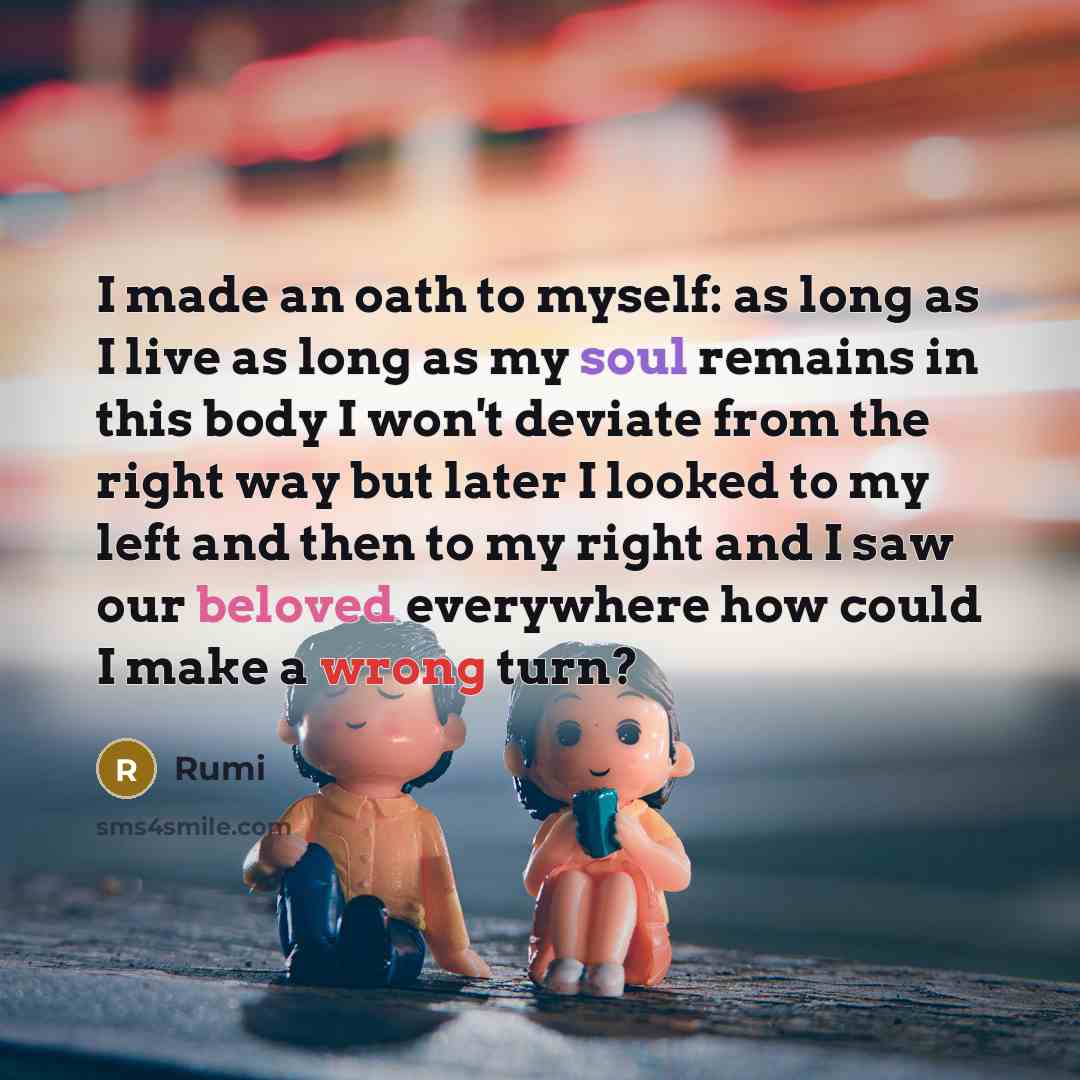“I made an oath to myself: as long as I live as long as my soul remains in this body I won't deviate from the right way but later I looked to my left and then to my right and I saw our beloved everywhere how could I make a wrong turn?” quote by Rumi