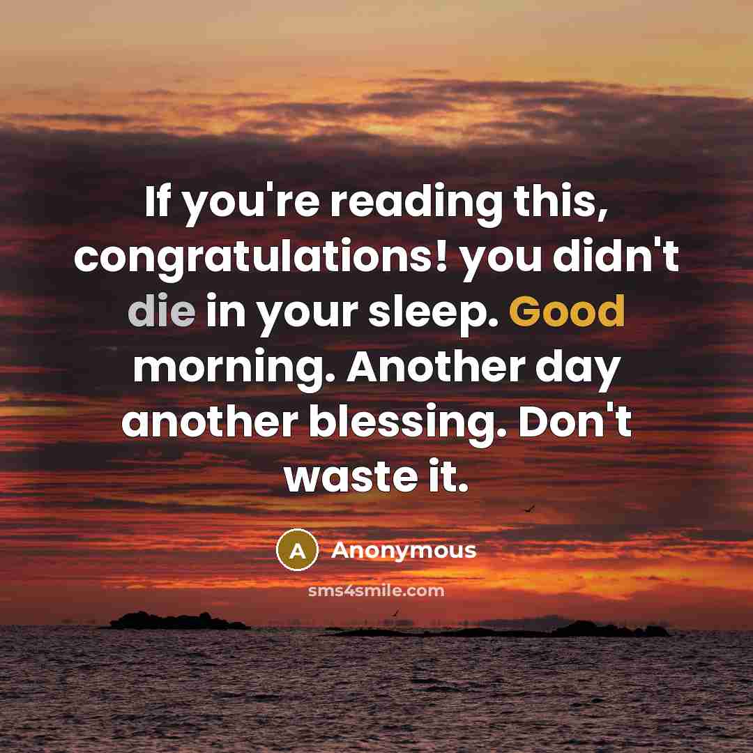 “If you're reading this, congratulations! you didn't die in your sleep. Good morning. Another day another blessing. Don't waste it.” quote by Anonymous