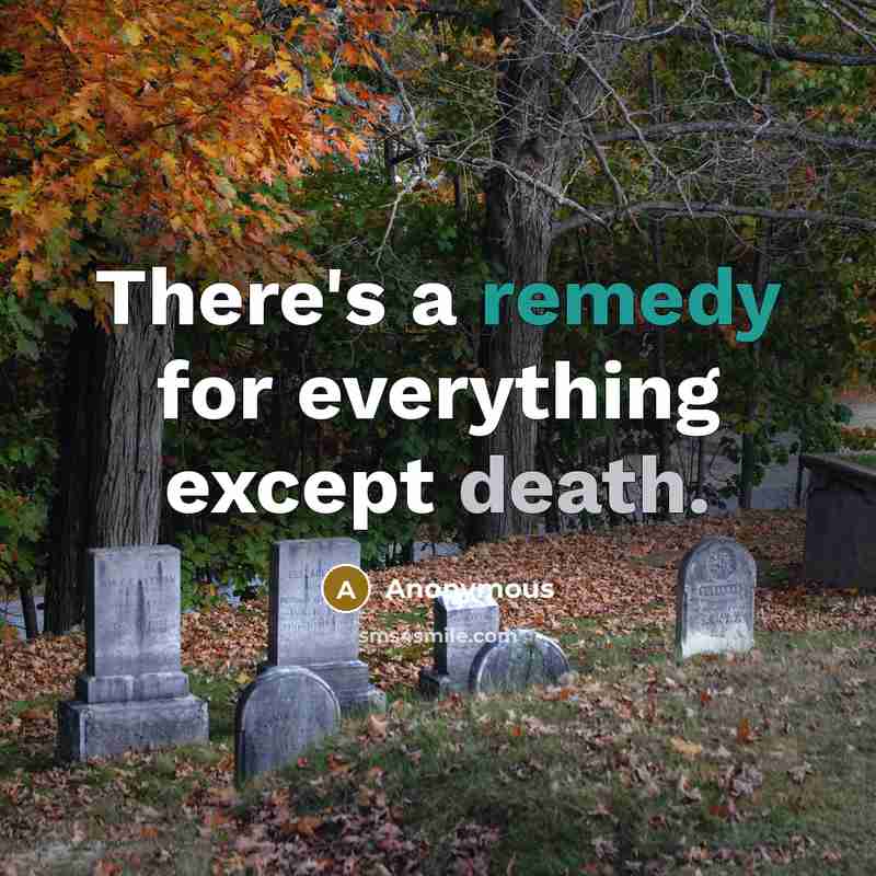 “There's a remedy for everything except death.” quote by Anonymous