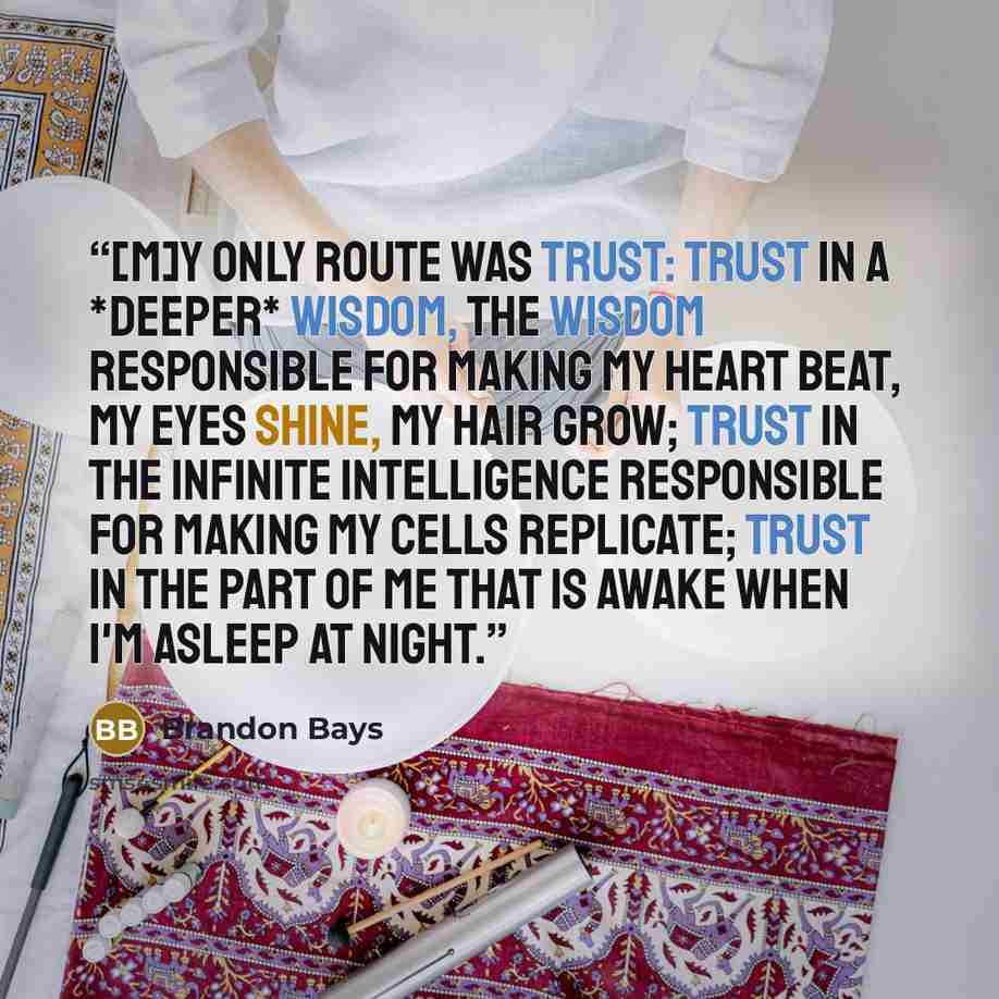 “[M]y only route was trust: trust in a *deeper* wisdom, the wisdom responsible for making my heart beat, my eyes shine, my hair grow; trust in the infinite intelligence responsible for making my cells replicate; trust in the part of me that is awake when I'm asleep at night.” quote by Brandon Bays