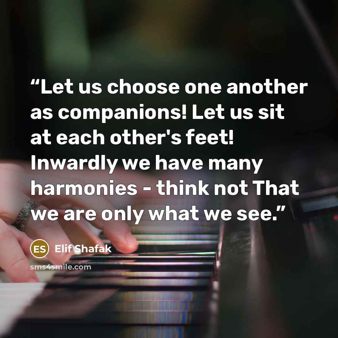 “Let us choose one another as companions! Let us sit at each other's feet! Inwardly we have many harmonies - think not That we are only what we see.” quote by Elif Shafak